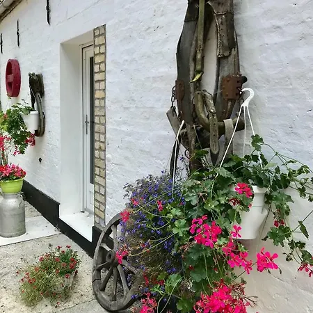 Maison d'hôtes La Ferme Wessière à Oye-Plage Extérieur photo